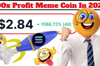100x Profit Meme Coin In May 2024