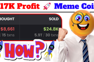 $17K Profit From Solana Meme Coin