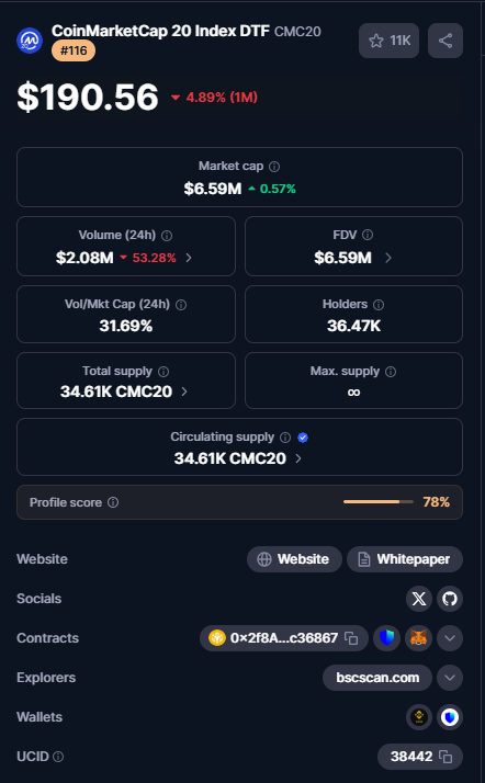 CMC20 Index DTF Explained